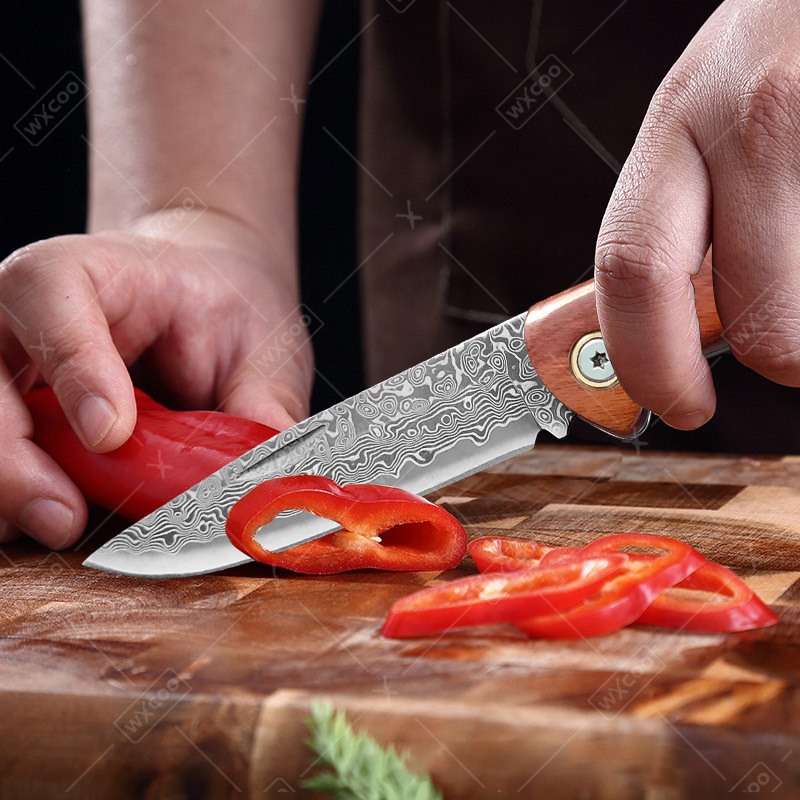 Cuchillo Plegable WXCOO, Cuchi - Camping Cooking Knives reseña y precio